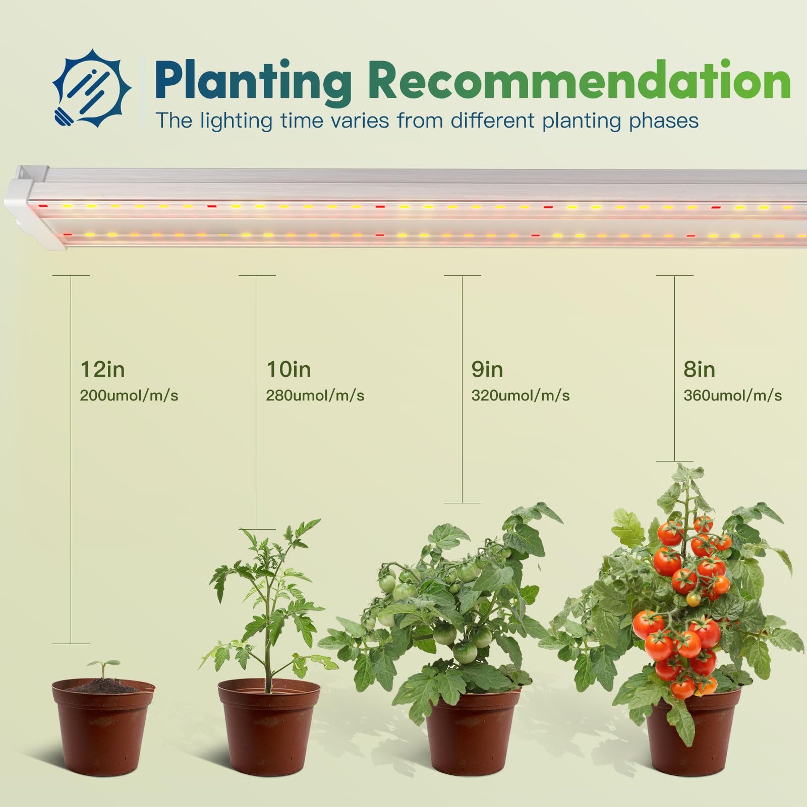 FREELICHT compact slim-design light for easy setup and space-saving racks.