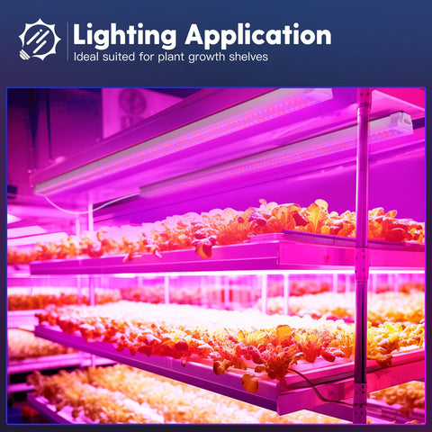 FREELICHT energy-saving 40W LED light reduces electricity use for plant growth.