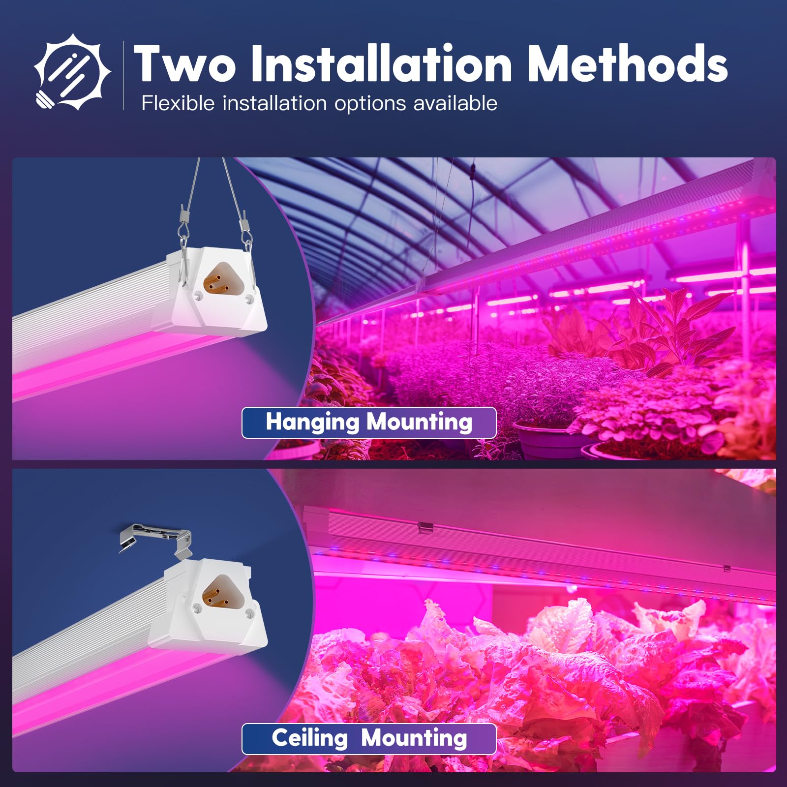 FREELICHT herbs and flowers benefiting from full spectrum light for growth.