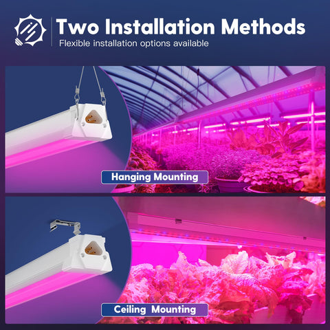 FREELICHT herbs and flowers benefiting from full spectrum light for growth.