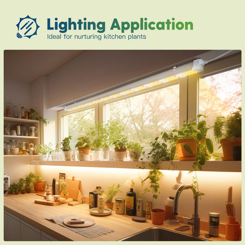 FREELICHT hydroponics seedling growth light for thriving indoor gardens.