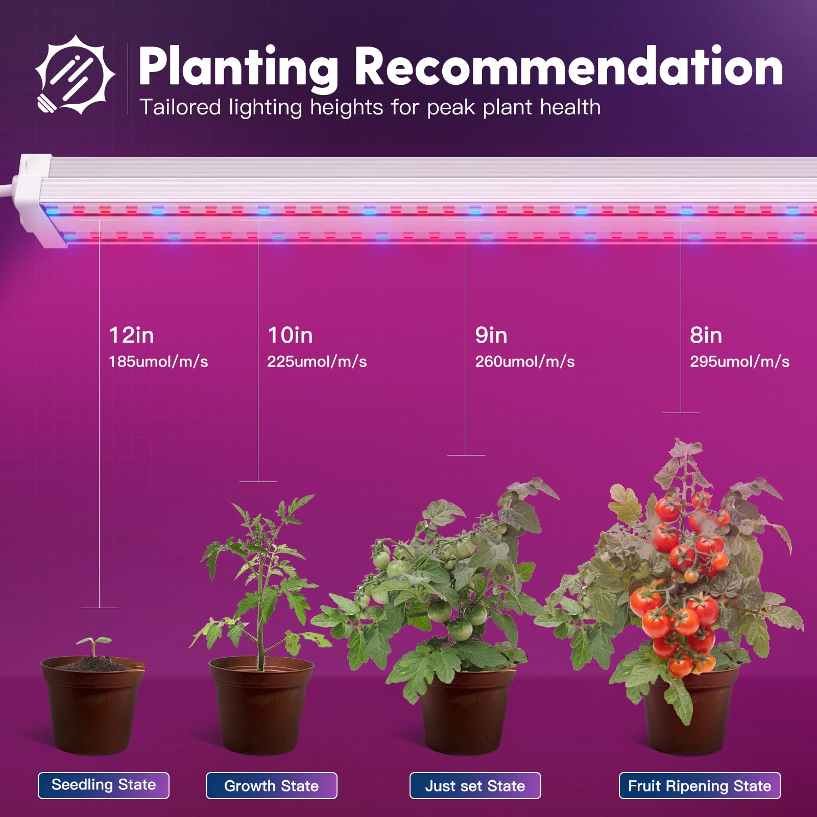 FREELICHT indoor plant light suitable for hydroponic setups and seed trays