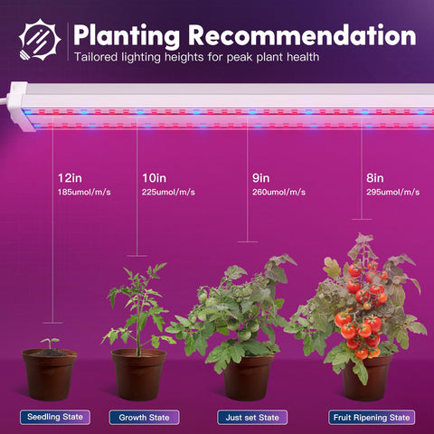 FREELICHT indoor plant light suitable for hydroponic setups and seed trays
