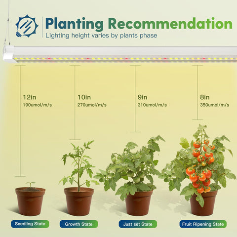 FREELICHT full spectrum panel simulates sunlight for healthy growth.