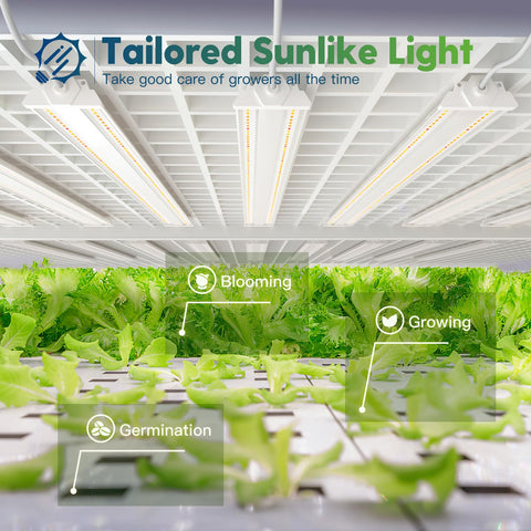 FREELICHT sunlike-spectrum panel highlights full spectrum output