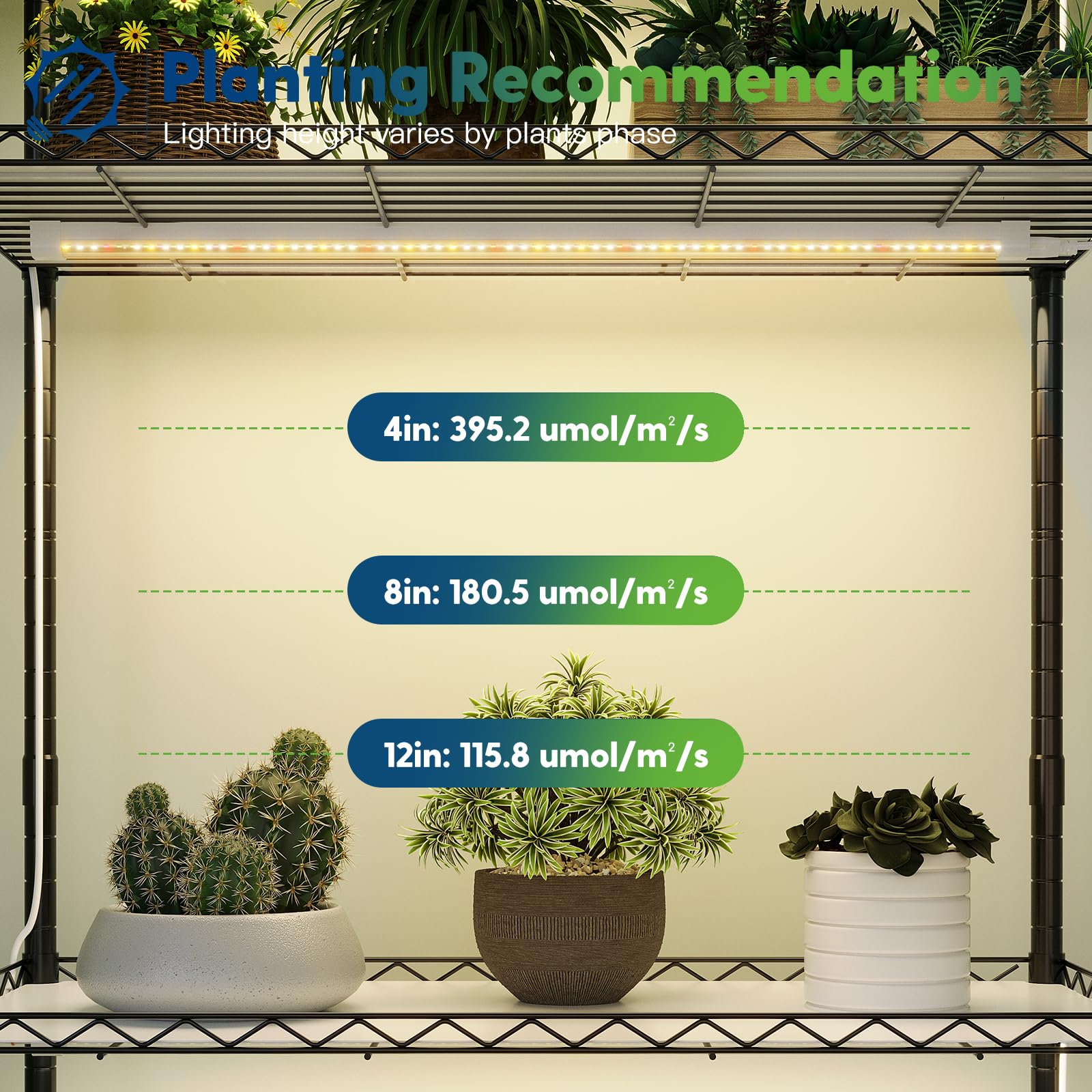 FREELICHT T8 seedling-friendly lighting boosts early growth