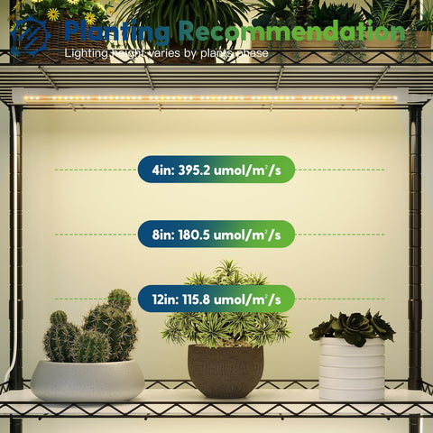 FREELICHT T8 seedling-friendly lighting boosts early growth