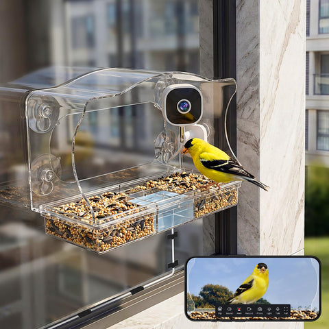 Freeseason smart bird feeder 360 view for immersive indoor birdwatching