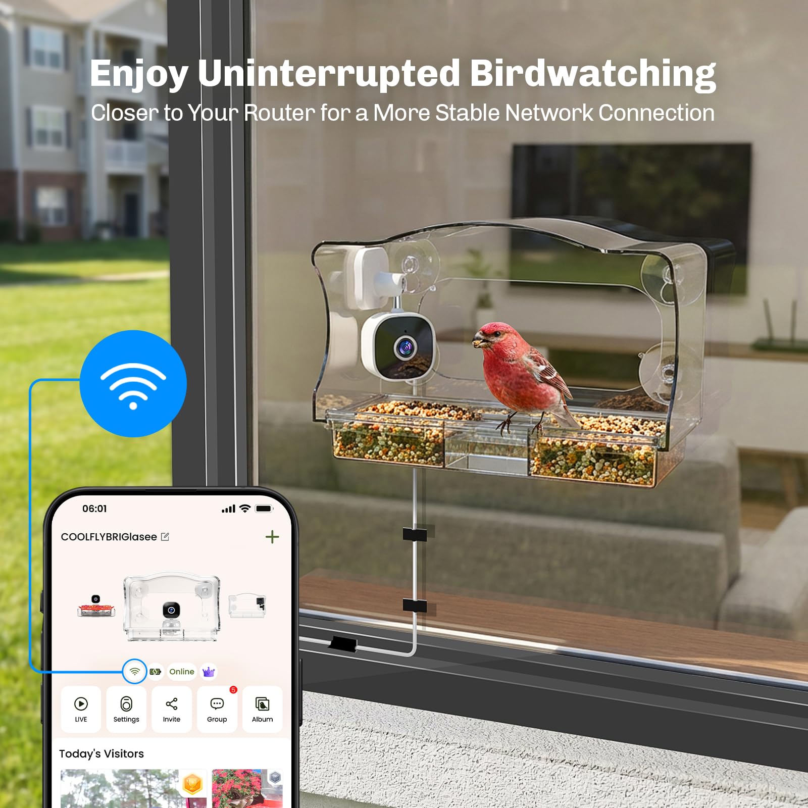 Freeseason auto-capture clips preserves every visiting bird for easy sharing