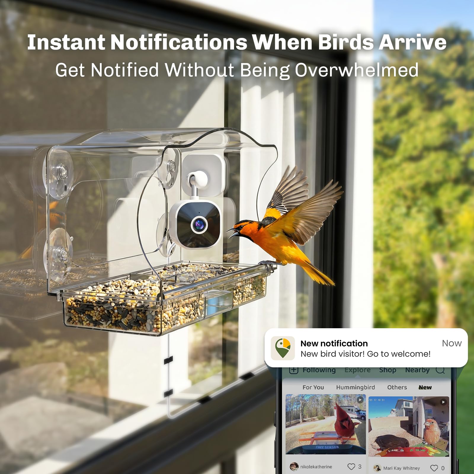 Freeseason feeder with pull-out trays simplifies refilling and cleaning