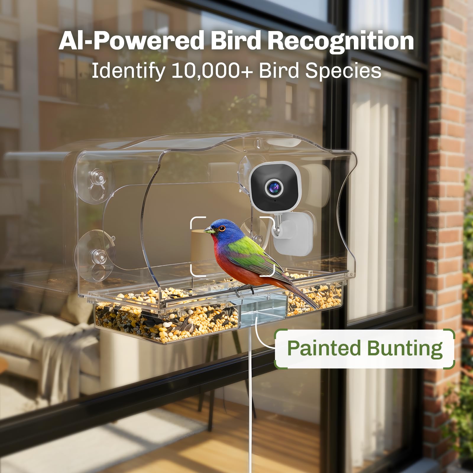 Freeseason window-mounted feeder with suction cups suitable for apartments