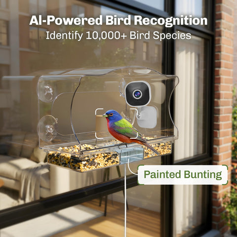 Freeseason window-mounted feeder with suction cups suitable for apartments