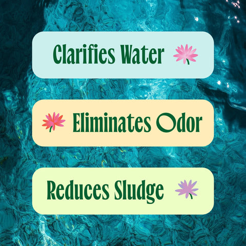 Fresh Pond Koi Pond Water Treatment reduces sludge buildup visibly