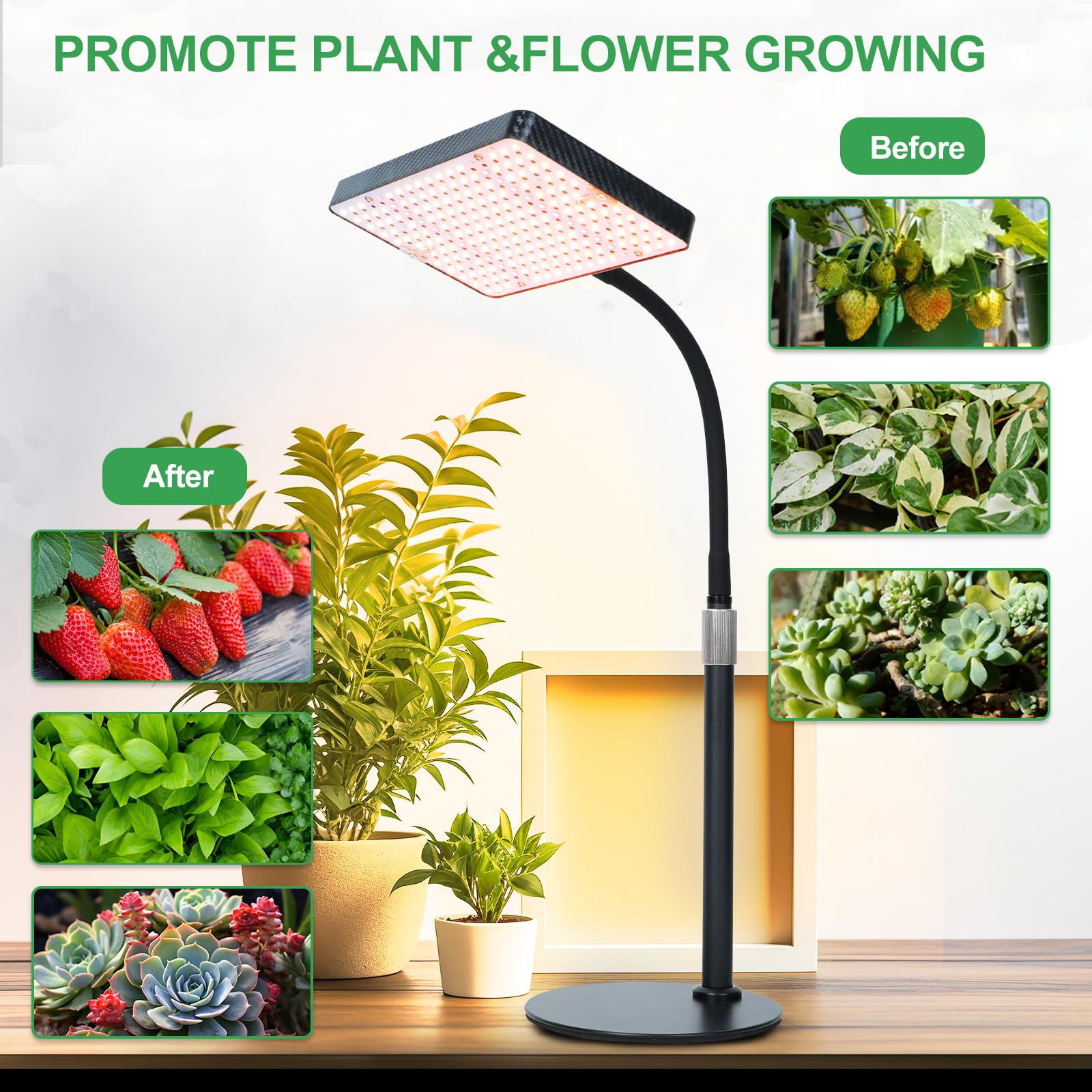 FRGROW 2026 seed-starting and bonsai care with reliable lighting.