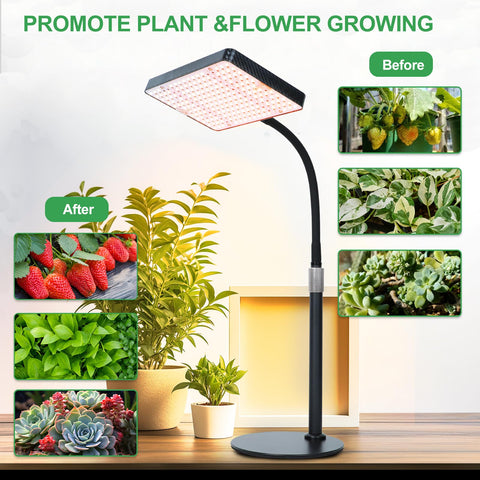FRGROW 2026 seed-starting and bonsai care with reliable lighting.