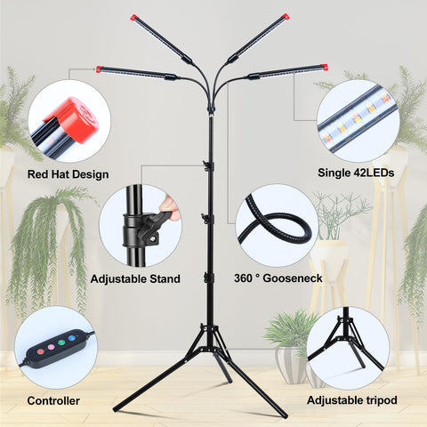 FRGROW light ideal for bonsai and tall houseplants.