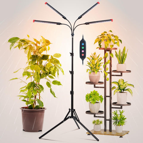 FRGROW 4Head grow light with stand for tall indoor plants delivers broad coverage for lush growth.