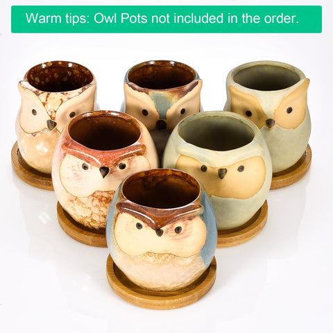 Frienda bamboo round plant saucer is durable and lightweight for everyday use.
