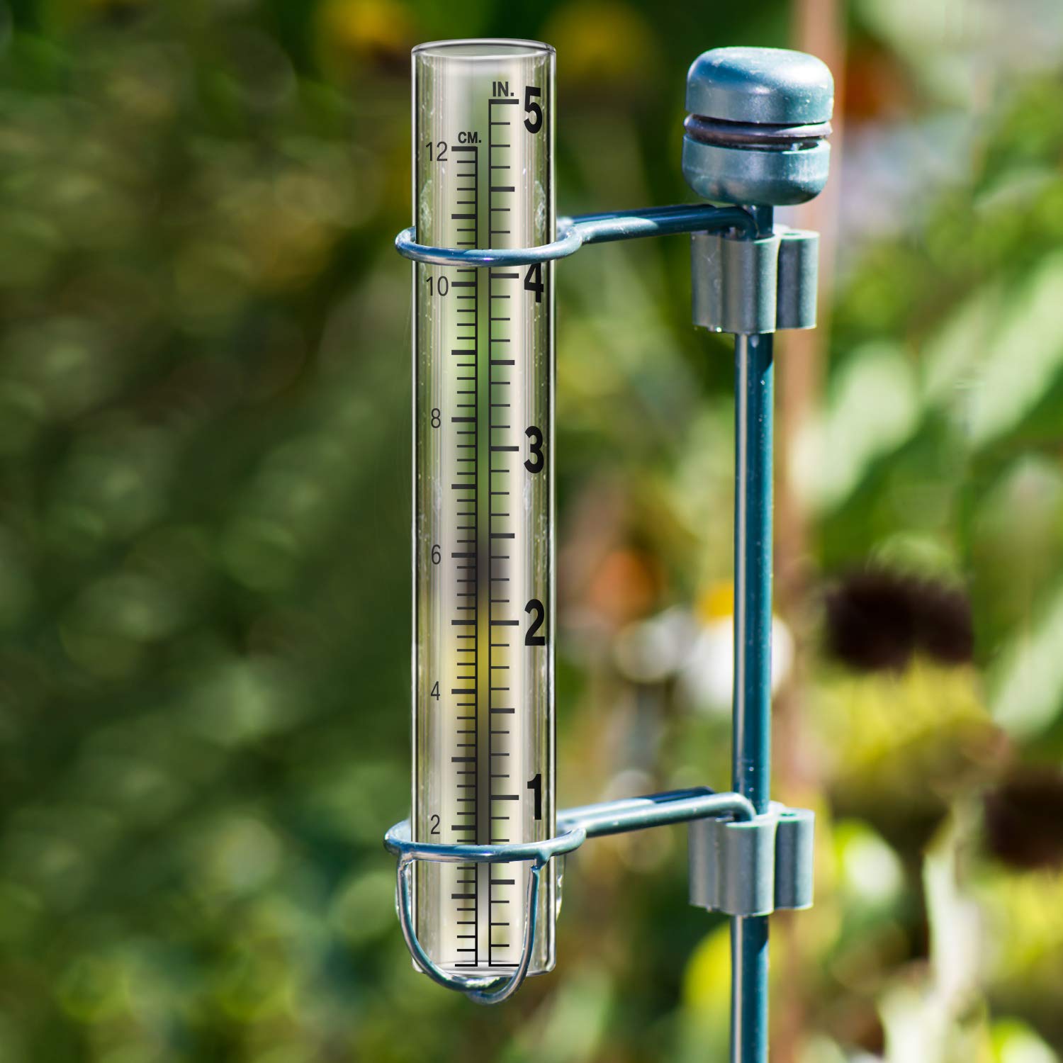 Frienda flat-bottom glass tube rests securely in garden or yard.