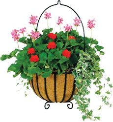 Frillybutts liner for hanging baskets highlighting breathable coconut fibers