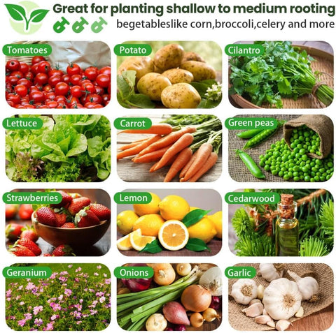 Frizione weather-ready garden bed for sun and rain with versatile planting layouts.