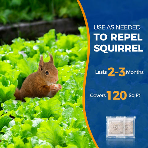 Frogoom Squirrel Deterrent bird feeder protection preserves seeds for birds.