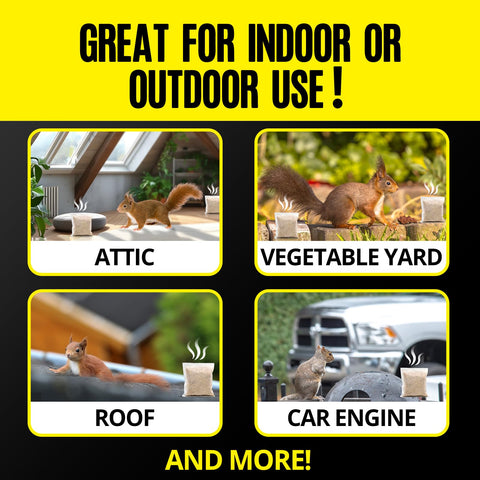 Frogoom Yard Pest Deterrent supports a cleaner outdoor space.