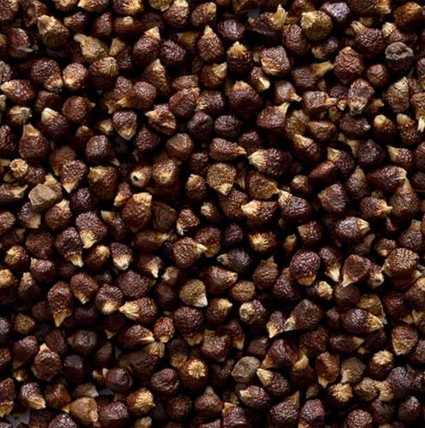 Melegueta pepper seeds close-up showing warm, cardamom-like flavor notes for culinary use.