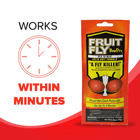 Fruit Fly BarPro strip targets multiple indoor pests for comprehensive control