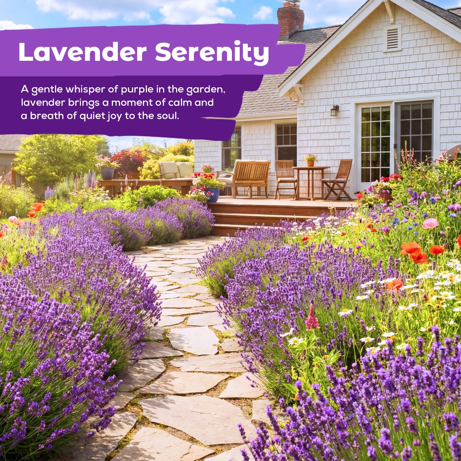 Fruivity packet shows seven thousand seeds for lush lavender beds