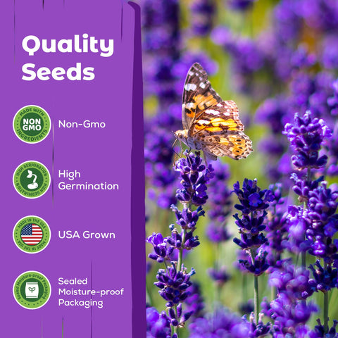 Fruivity indoor-outdoor lavender garden idea demonstrates versatile planting spaces