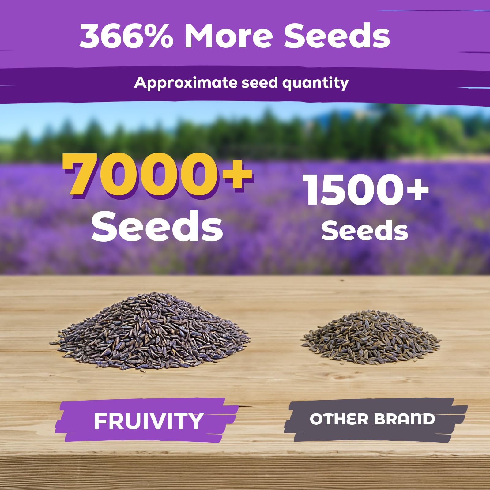 Fruivity Lavandula angustifolia seed highlights classic lavender growth