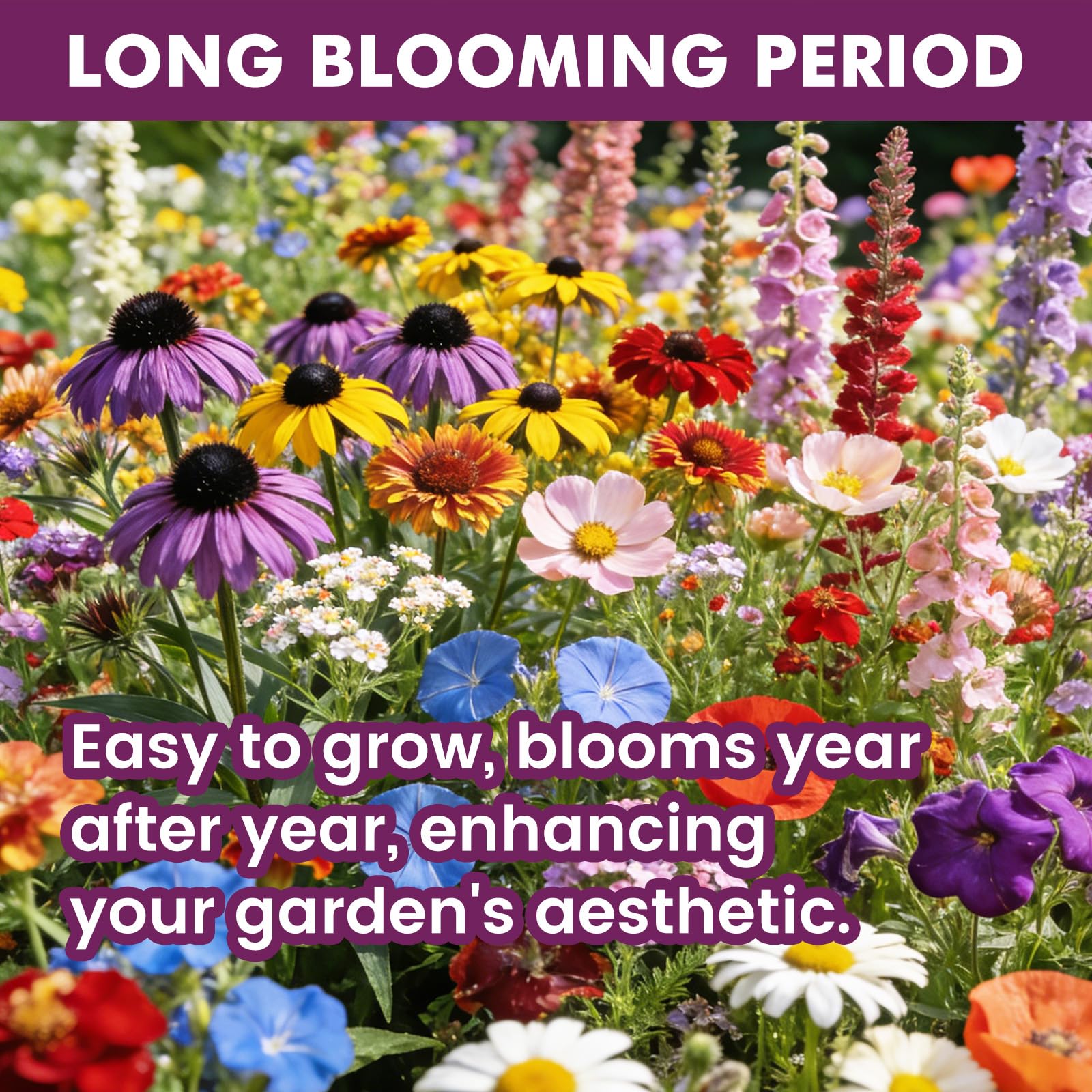 Fruivity 21-variety-perennial-annual-seed-mix supports year-round color and easy planting.