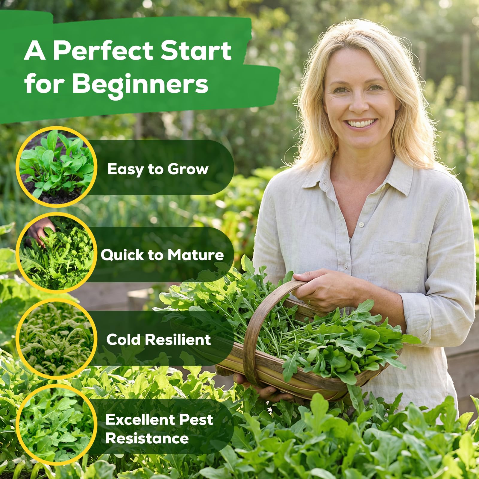 Fruivity arugula seeds cut-and-come-Again feature for ongoing yields