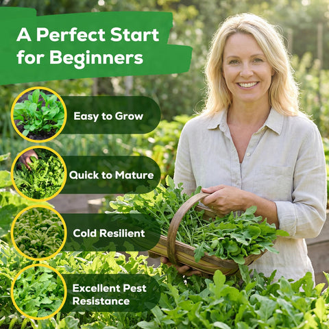 Fruivity arugula seeds cut-and-come-Again feature for ongoing yields