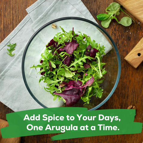 Fruivity arugula seeds produce nutritious peppery greens for salads