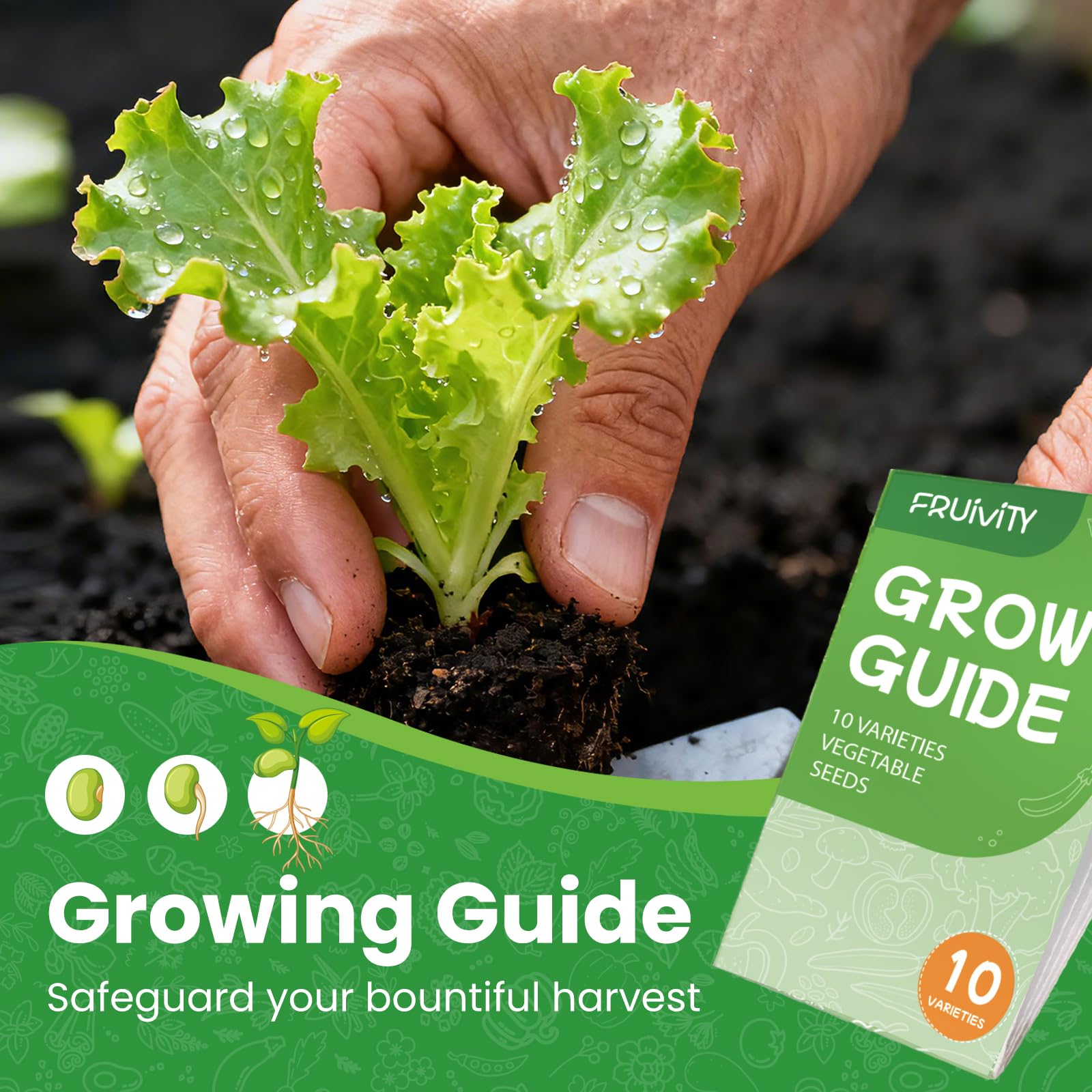 Biodegradable pots and coco coir in the image support clean, sustainable seed starting.