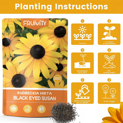 Fruivity seeds ideal for borders containers and quick color in gardens