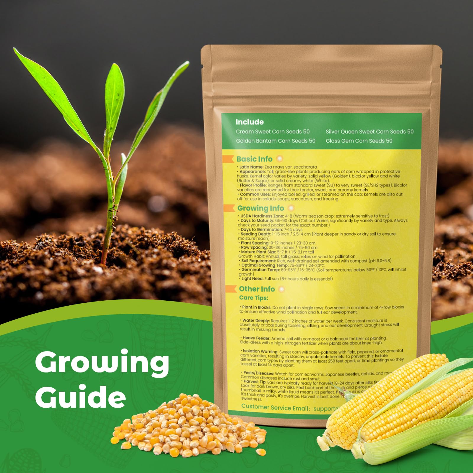 Fruivity Golden Bantam Corn Seeds ideal for tender ears and summer meals.