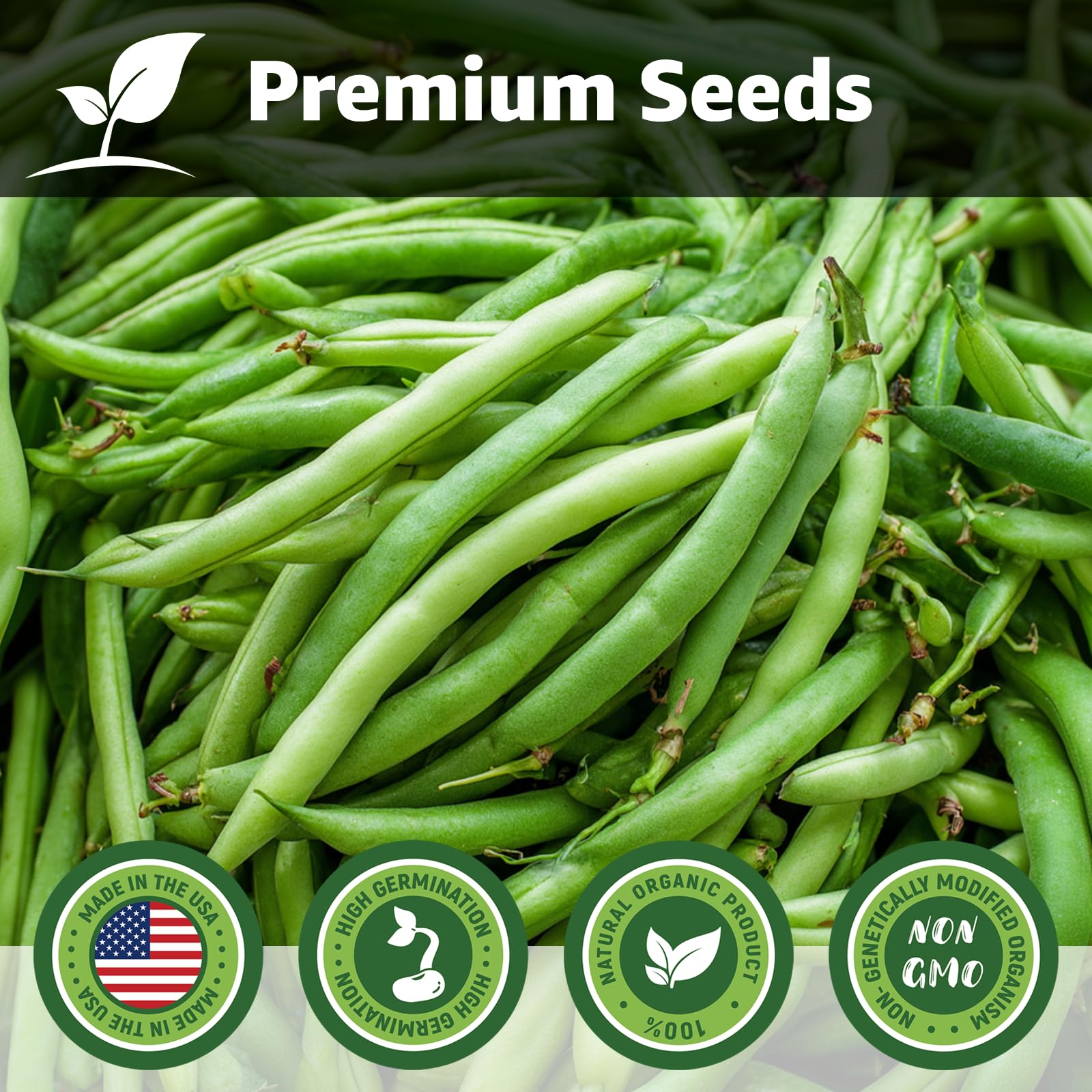 Fruivity green bean pods ready for harvest and fresh, flavorful meals.