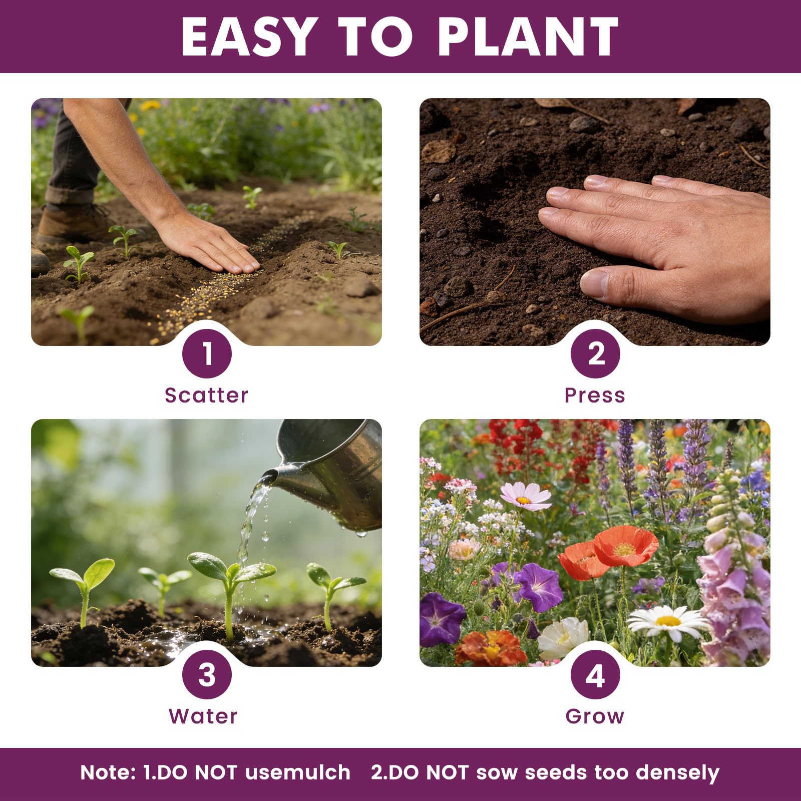 Fruivity high-germination-rate-seeds improve sprouting for quick garden color.