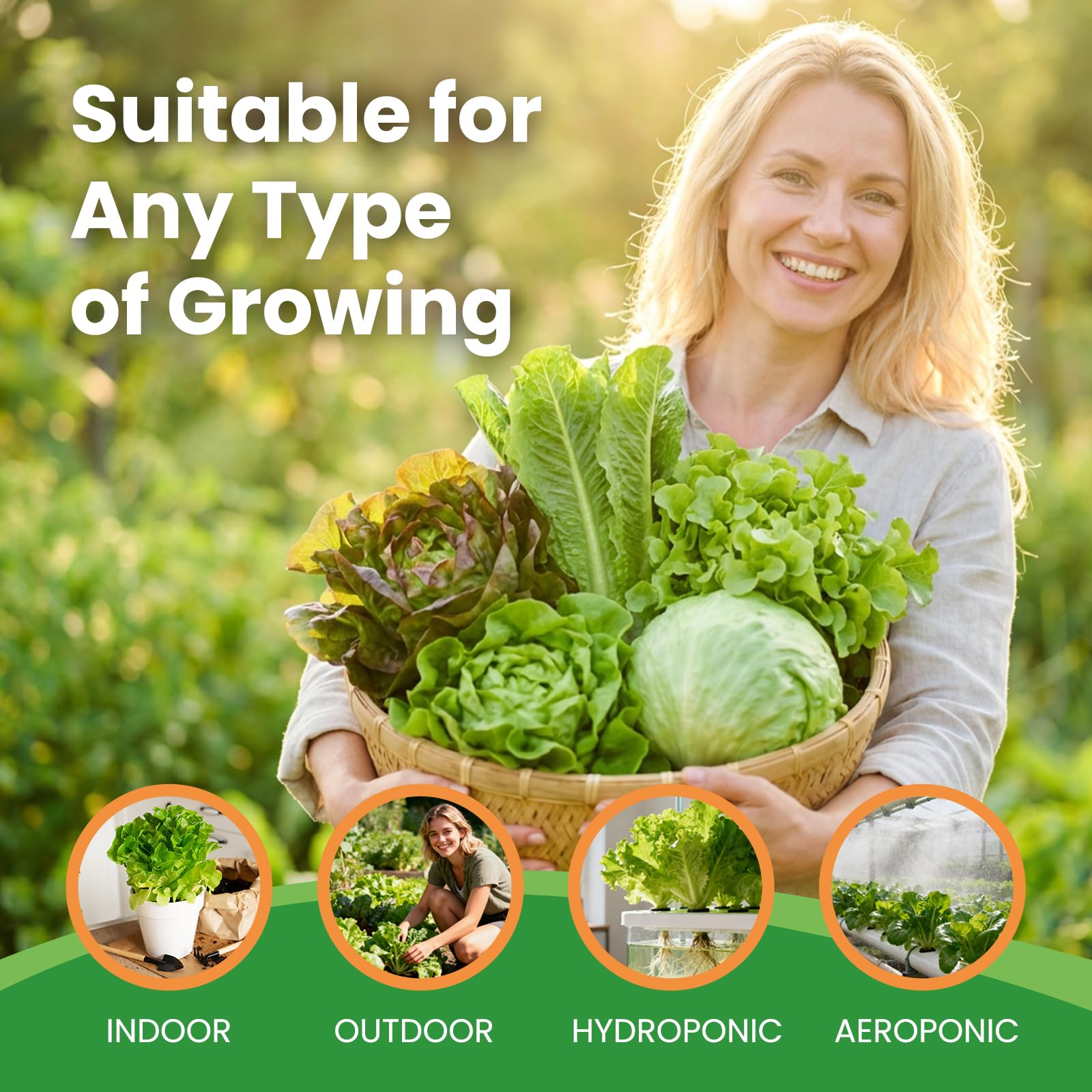 Fruivity lettuce seeds collection bibb heads showing tender pastel greens for sandwiches.
