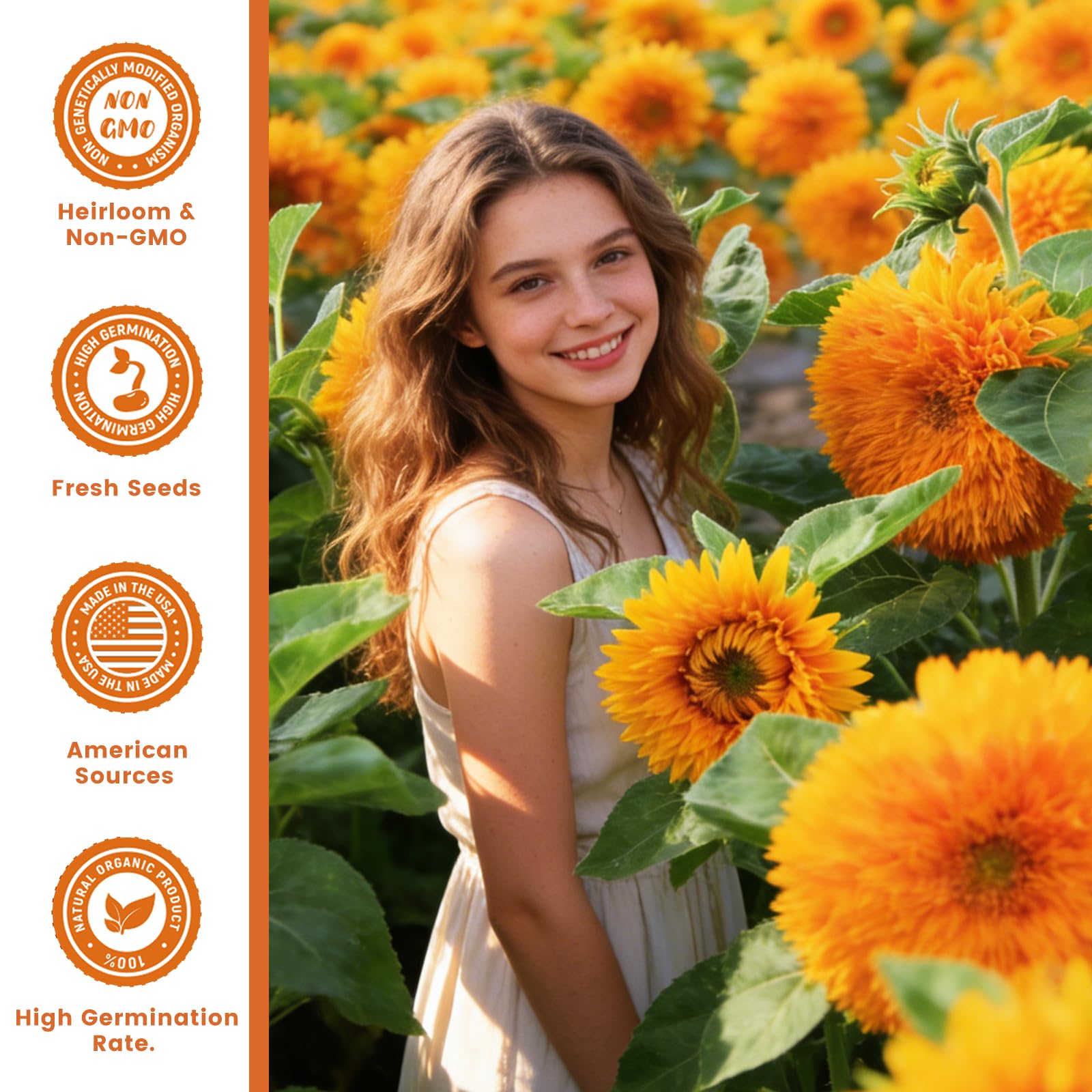 Fruivity Teddy Bear Sunflower Seeds high germination rate supports healthy seedlings.