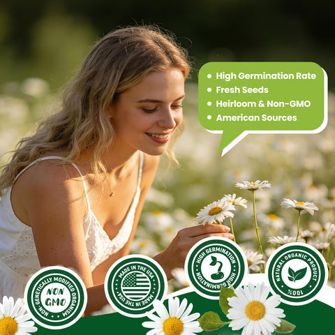 Fruivity chamomile for borders tidy fragrant garden edges