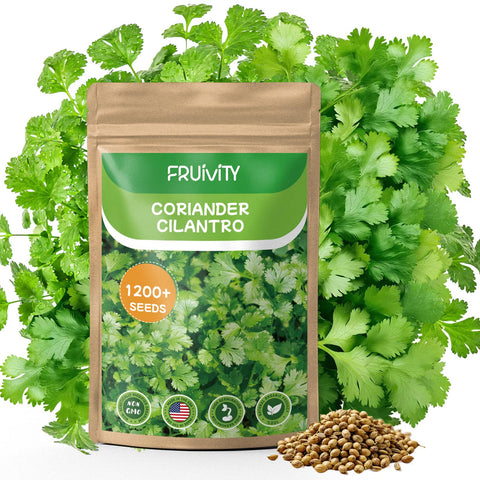 Fruivity cilantro seeds in a resealable bag for indoor or outdoor planting.