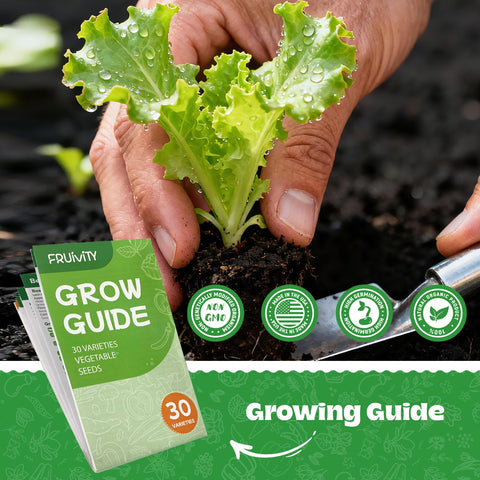 Fruivity indoor-outdoor gardening kit supports year-round harvests for home cooks