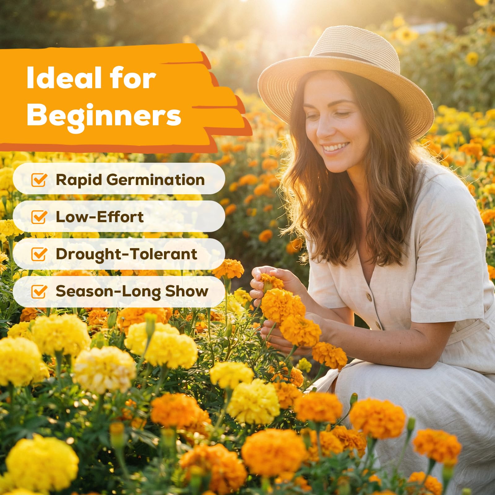 Fruivity marigolds bloom in 8–10 weeks, adding bright color to containers.