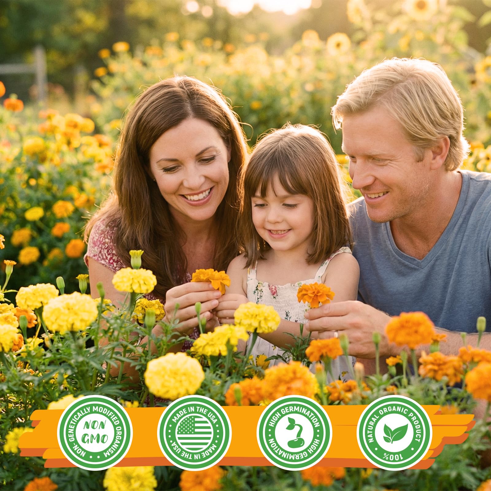 Fruivity marigolds provide long-lasting cut flowers with sturdy stems.
