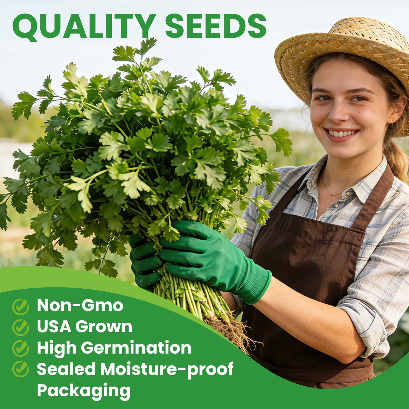Fruivity non-GMO cilantro seeds ideal for year-round fresh herbs.