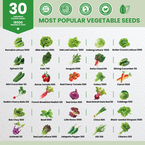 Close-up of Fruivity seed packets highlighting variety and freshness for germination